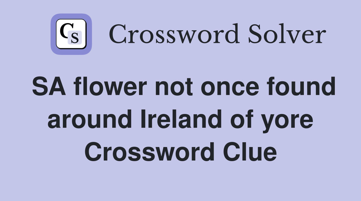 SA flower not once found around Ireland of yore Crossword Clue